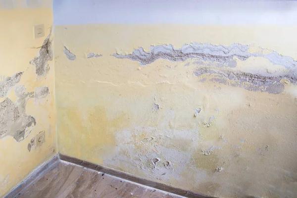 Top-Rated Water Damage Restoration Services in Lake Villa for Emergency Cleanup