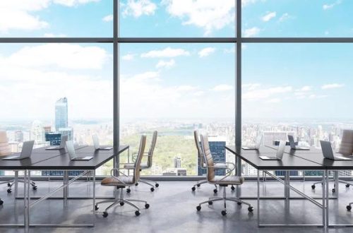 Top Reasons to Work With Primasia Corporate Services Ltd in 2026