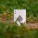 Latest Updates in Casino En Ligne Argent Reel Gaming