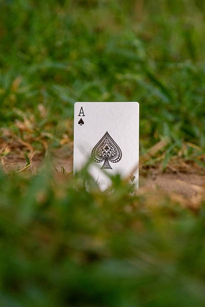 Latest Updates in Casino En Ligne Argent Reel Gaming