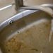 Drain Cleaning Flowery Branch Services for Fast and Reliable Solutions