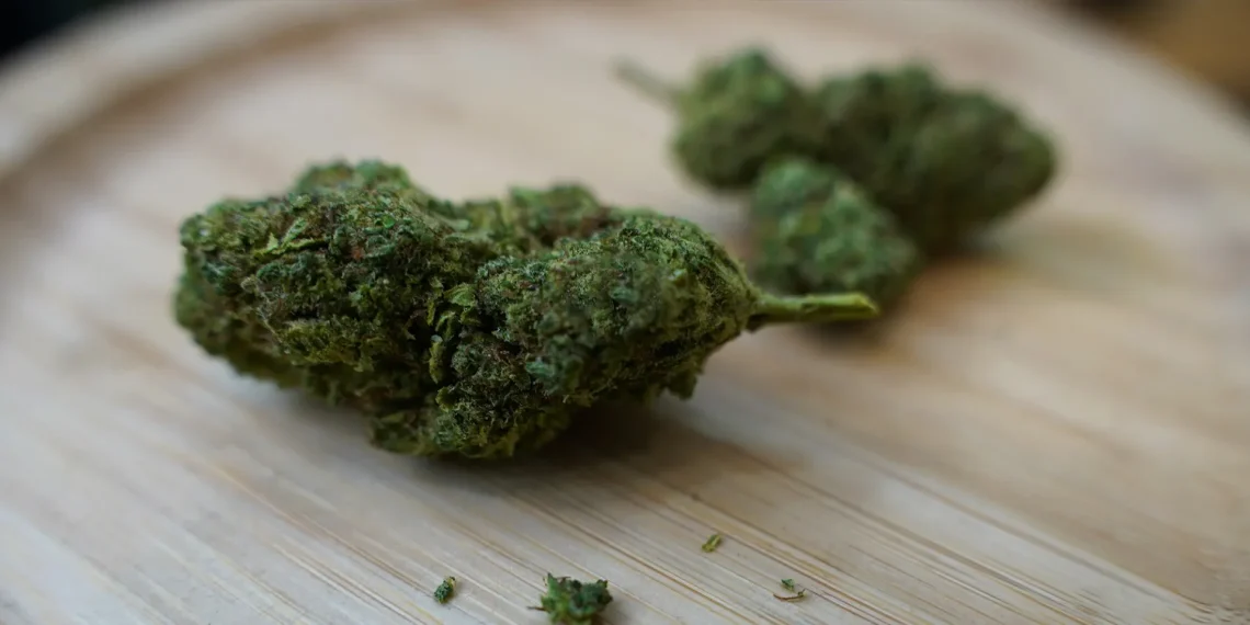 Discover the Benefits of Wiet Kopen With Carefully Selected Cannabis Strains