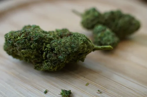 Discover the Benefits of Wiet Kopen With Carefully Selected Cannabis Strains