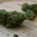 Discover the Benefits of Wiet Kopen With Carefully Selected Cannabis Strains