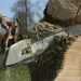 Certified Tree Removal Service Mobile with Trusted Experience