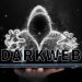 Discover Darkweb Activity Trends Through Live Tor Analytics