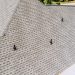 Roof Repairs for Asphalt, Metal, and Tile Roofs Compared
