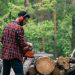 Shelton WA Tree Removal Services for Residential and Commercial Needs