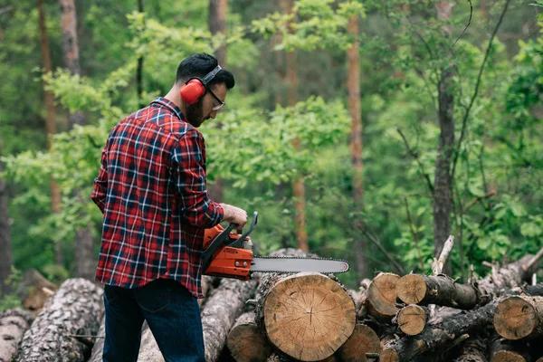 Shelton WA Tree Removal Services for Residential and Commercial Needs