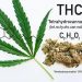 Comparing Hemp Products What Buyers Should Consider