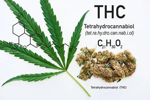 Comparing Hemp Products What Buyers Should Consider