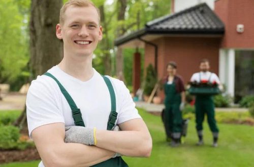 Simple Ways Landscaping Services Can Increase Property Appeal