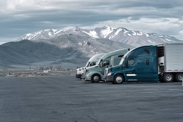 Discover a Dependable Trucking Company Near Me Today